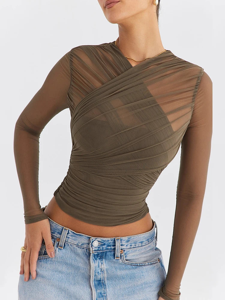 Sheer Mesh Long Sleeve V-Neck Top