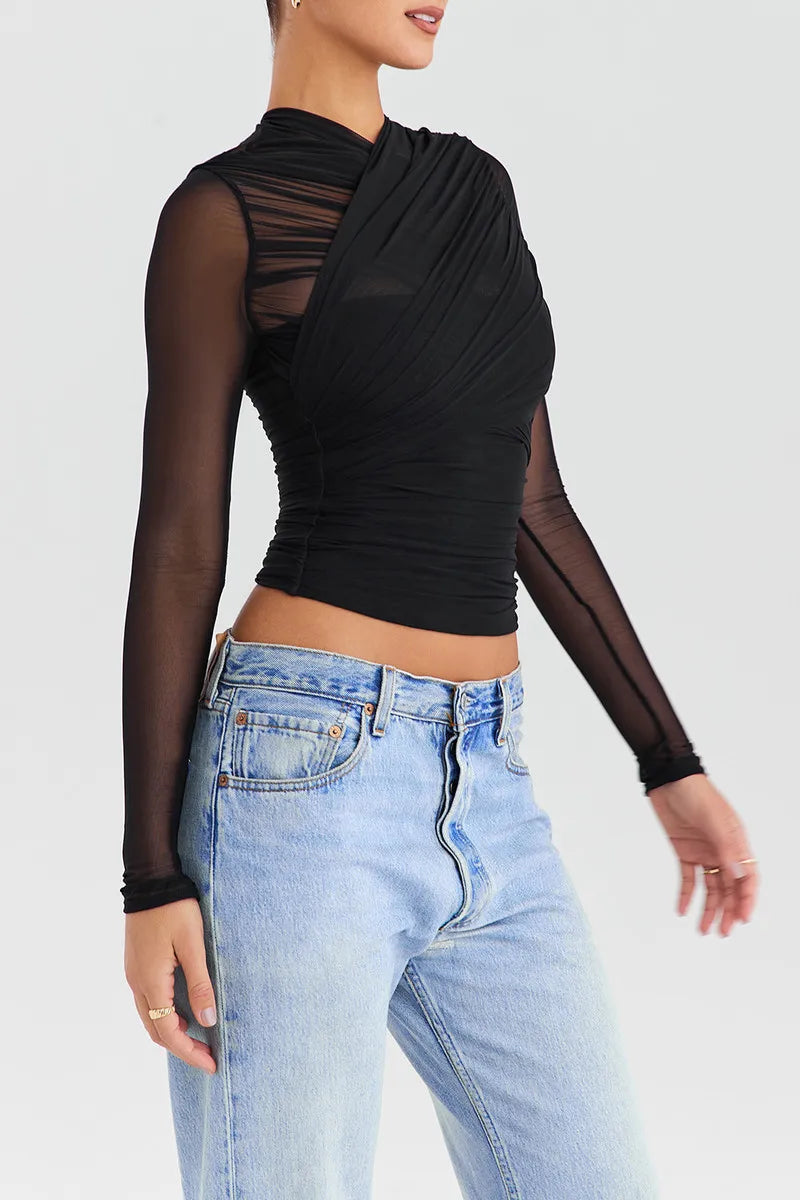 Sheer Mesh Long Sleeve V-Neck Top